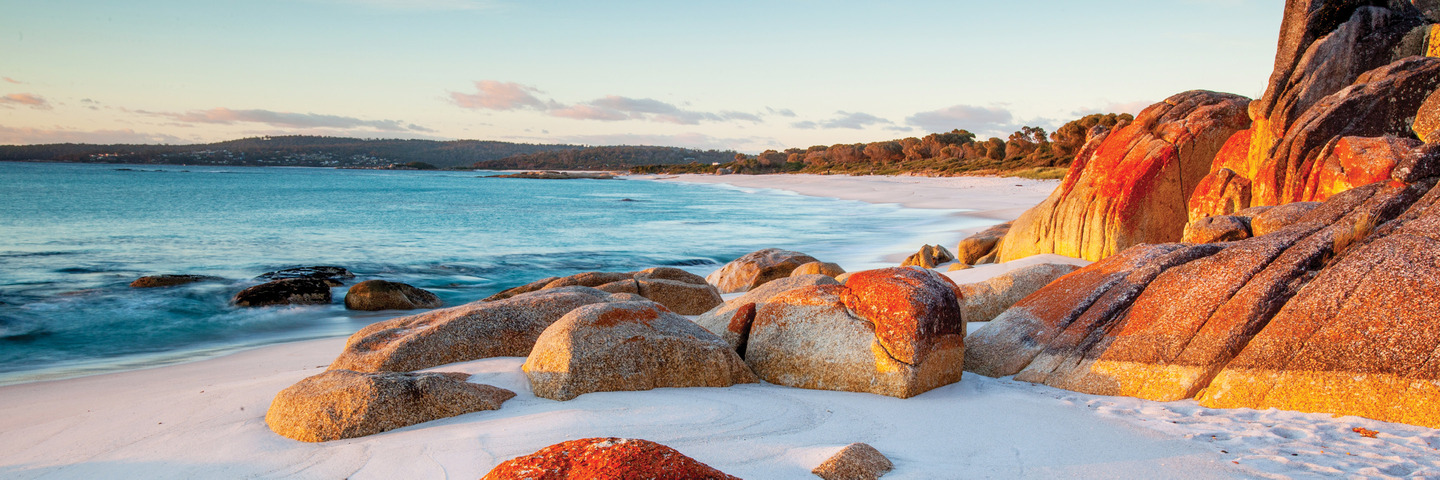 Tassie Quick Bite - Cosmos Vacations